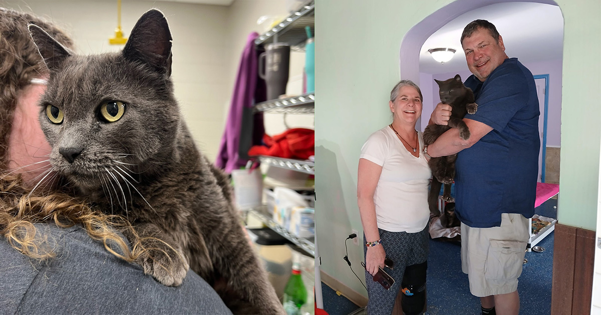 Family gets “miracle,” reunites with long-lost cat after five years apart