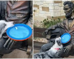 Dog doesn’t understand why statue of Abraham Lincoln won’t play fetch with her