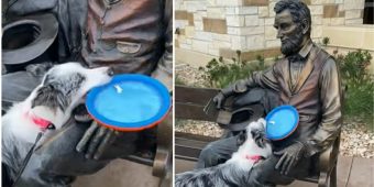 Dog doesn’t understand why statue of Abraham Lincoln won’t play fetch with her