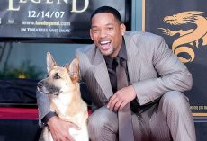 Will Smith pays heartwarming tribute to his beloved co-star Abbey, the dog from “I Am Legend”