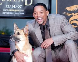 Will Smith pays heartwarming tribute to his beloved co-star Abbey, the dog from “I Am Legend”