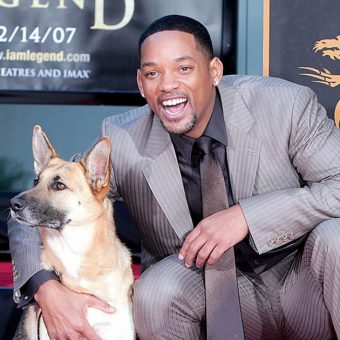 Will Smith pays heartwarming tribute to his beloved co-star Abbey, the dog from “I Am Legend”