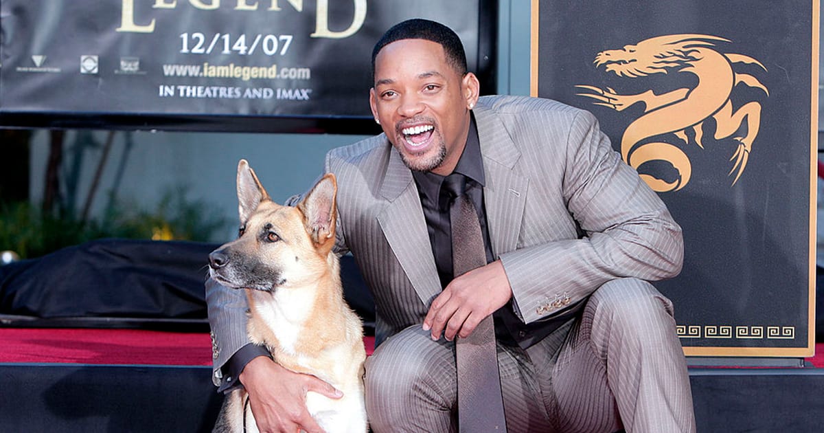 Will Smith pays heartwarming tribute to his beloved co-star Abbey, the dog from “I Am Legend”