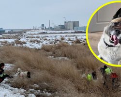 Police respond to call about a dog on the loose — hear cries coming from a ditch and realize dog is a “Hero”