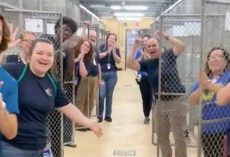 Florida shelter celebrates going from “critical capacity” to completely empty kennels — congratulations