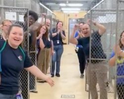 Florida shelter celebrates going from “critical capacity” to completely empty kennels — congratulations