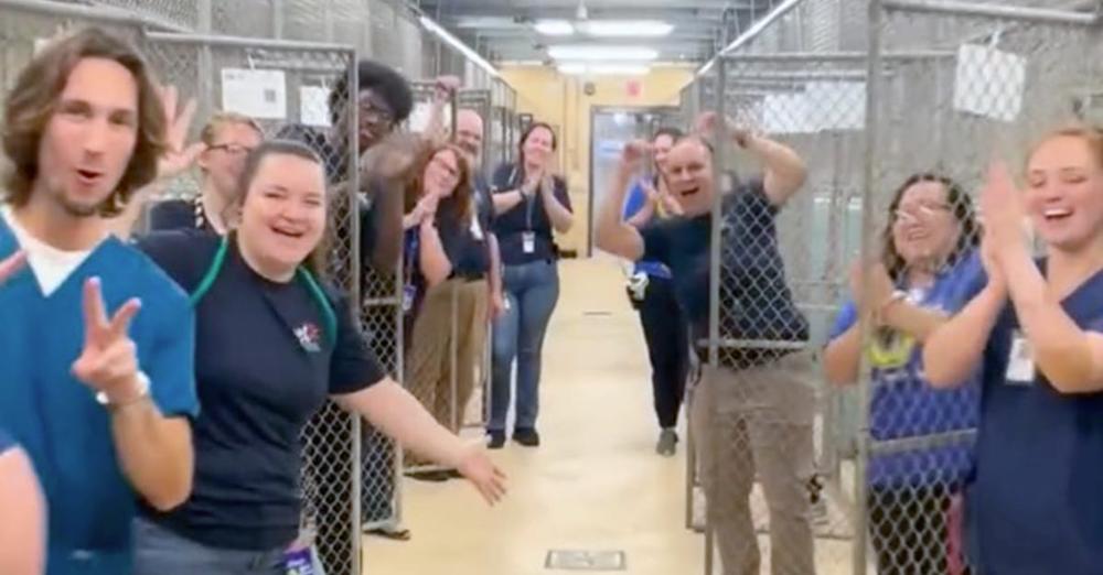 Florida shelter celebrates going from “critical capacity” to completely empty kennels — congratulations