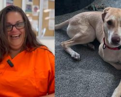 Prison inmate had given up hope — but caring for shelter dog changed both of their lives