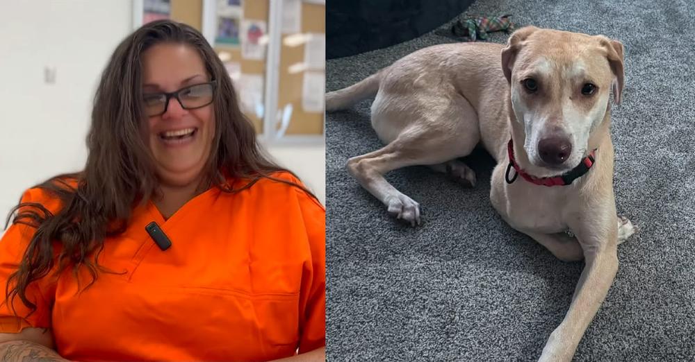 Prison inmate had given up hope — but caring for shelter dog changed both of their lives