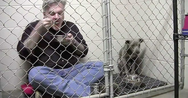 Veterinarian Eats Breakfast In Kennel With The Pit Bull He Saved To Comfort Her