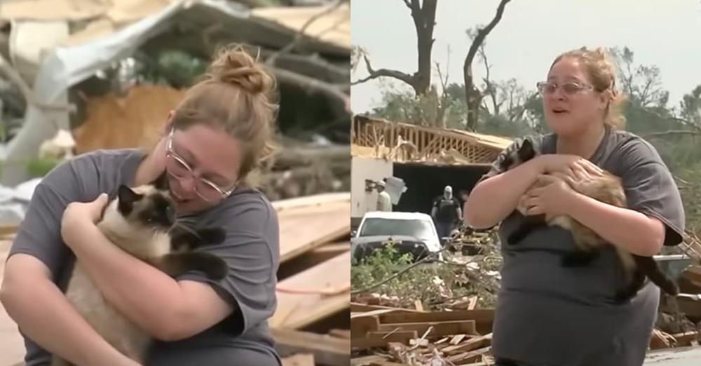 Woman thought her cat was gone after tornado destroyed home — miraculous reunion caught on camera