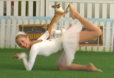 Ballerina & Dog Take Position, And The Crowd Gets Into It When The Music Starts