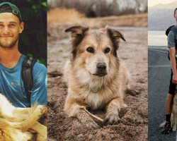 Savannah, first dog to walk around the world, has died — rest in peace