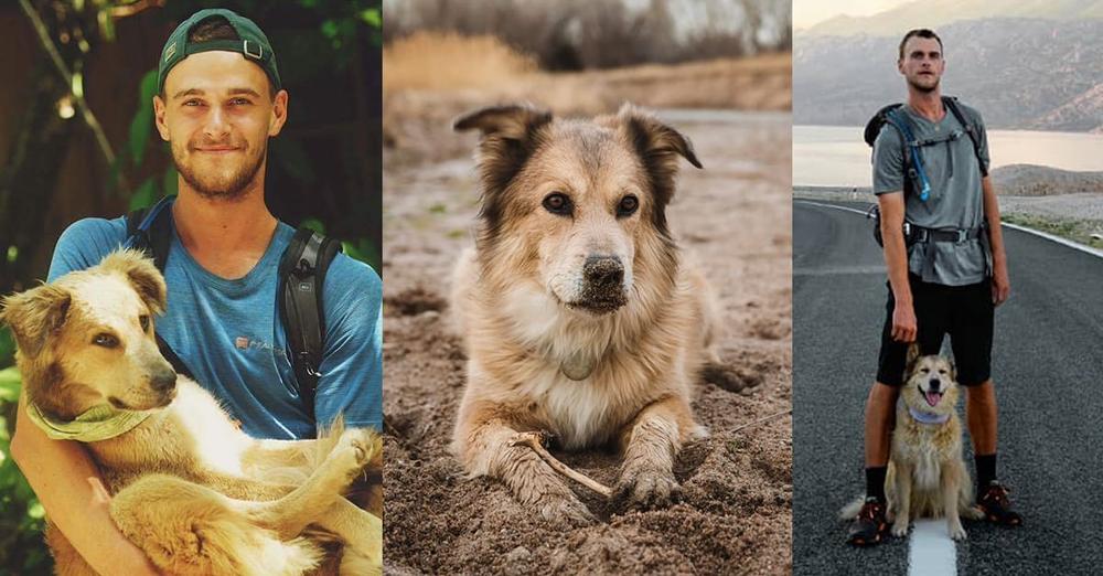 Savannah, first dog to walk around the world, has died — rest in peace