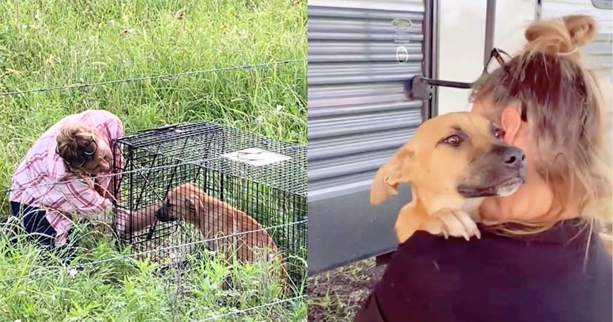 Dog rescuer wins trust of abandoned puppy — look of love shows she’s finally home