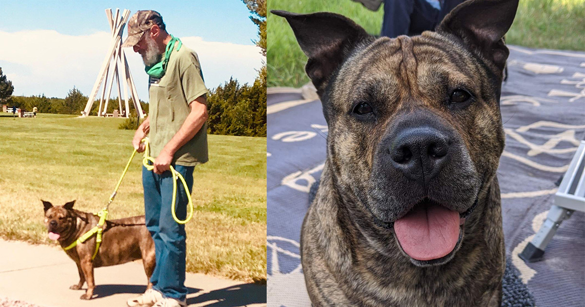 Man’s dying wish is to find a new home for his beloved dog: “Like trying to find a home for your child”