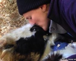 Dying Foal Goes From Being Unloved To Champion
