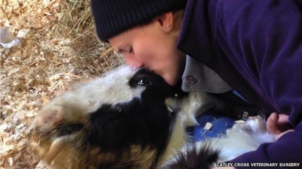 Dying Foal Goes From Being Unloved To Champion