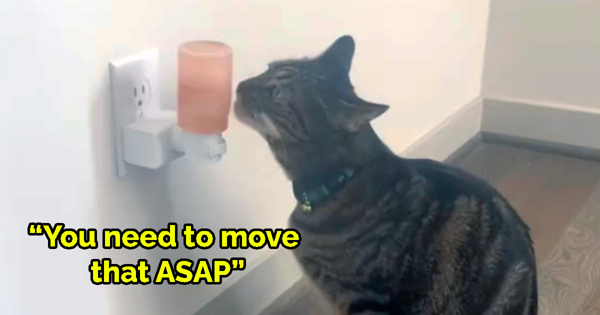 Cat owner posts video of pet’s strange behavior — gets a warning that has him rushing to the vet