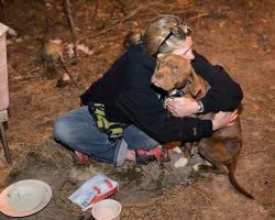 Stolen Dog Rescued From Cockfighting Bust And Reunited With Her Family A Year Later