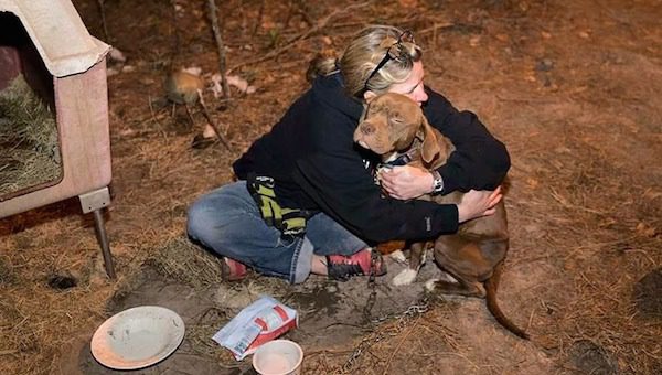 Stolen Dog Rescued From Cockfighting Bust And Reunited With Her Family A Year Later
