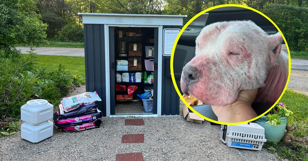 Sick dog was surrendered when his owners couldn’t afford medication — inspires pet pantry for those in need