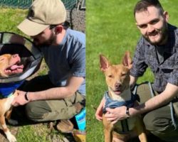 Dog seized from abusive household gets adopted by officer who rescued her