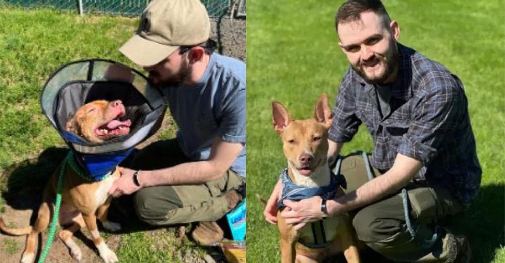 Dog seized from abusive household gets adopted by officer who rescued her