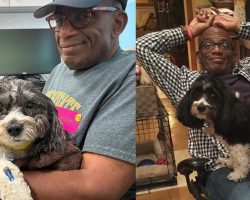 Al Roker shares that his beloved dog Pepper has died: “Our hearts are heavy”