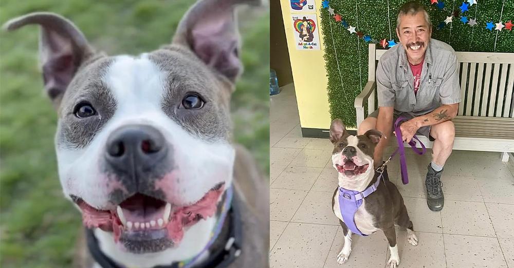 Shelter’s longest resident finally gets adopted after 420 days: “The moment we’ve all been waiting for”