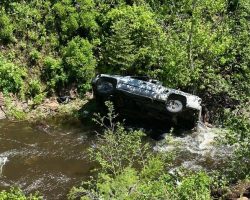 Dog runs four miles to get help after owner crashed into ravine