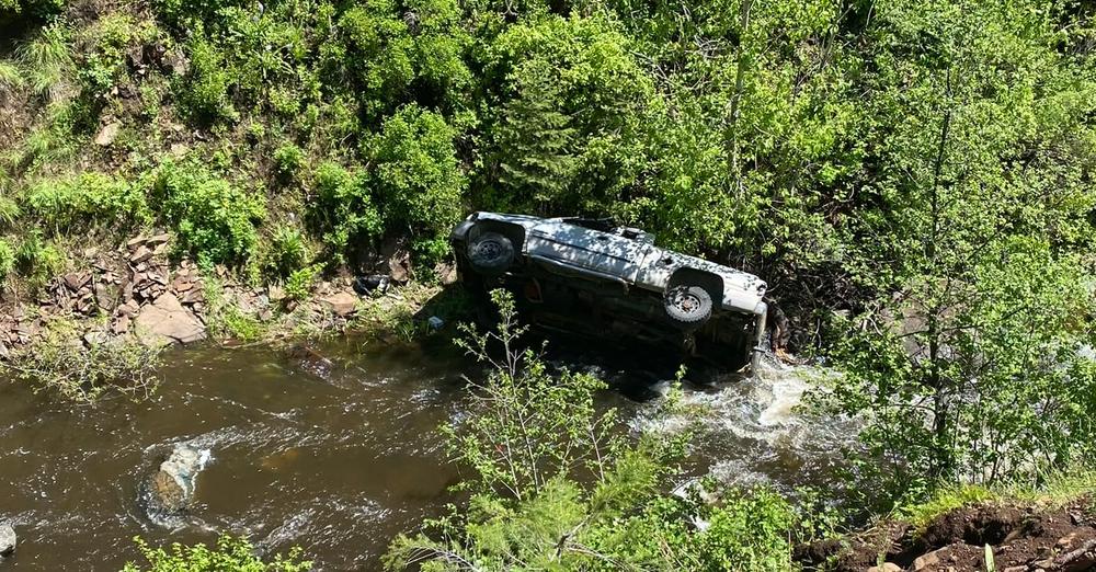 Dog runs four miles to get help after owner crashed into ravine