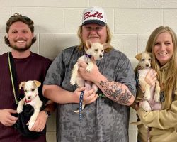 Three rescue puppies visit concert, get adopted by Tyler Childers’ road crew