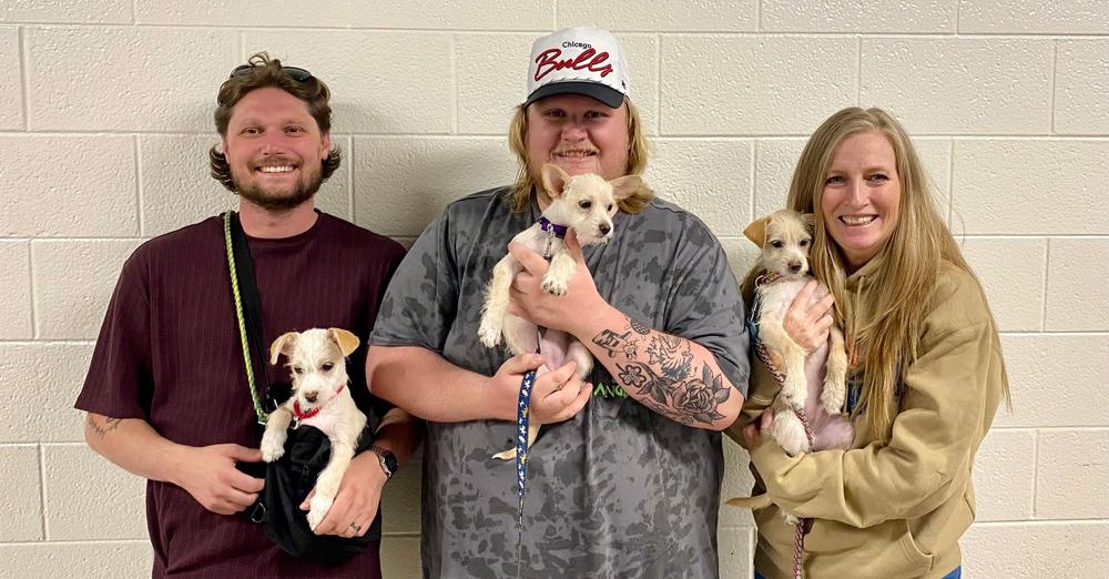 Three rescue puppies visit concert, get adopted by Tyler Childers’ road crew