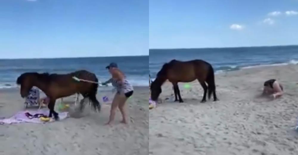 Woman ‘Whacked’ Wild Horse With Shovel And Did Not Expect To Receive “Instant Karma”