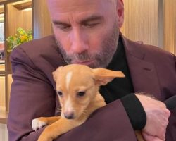 John Travolta shares sweet throwback pic with rescue dog Peanut: “She’s brought the biggest joy to our family”