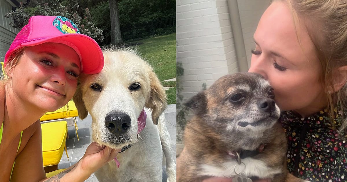 Miranda Lambert mourning two rescue dogs who died within 6 weeks: “two of the best and most loyal friends”