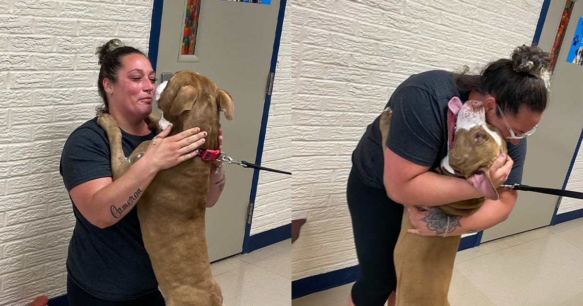 Woman reunites with her emotional support dog who was missing for 2 years: “Not a dry eye in the room”