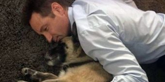 David Duchovny announces death of beloved rescue dog Brick: shares beautiful poem as tribute