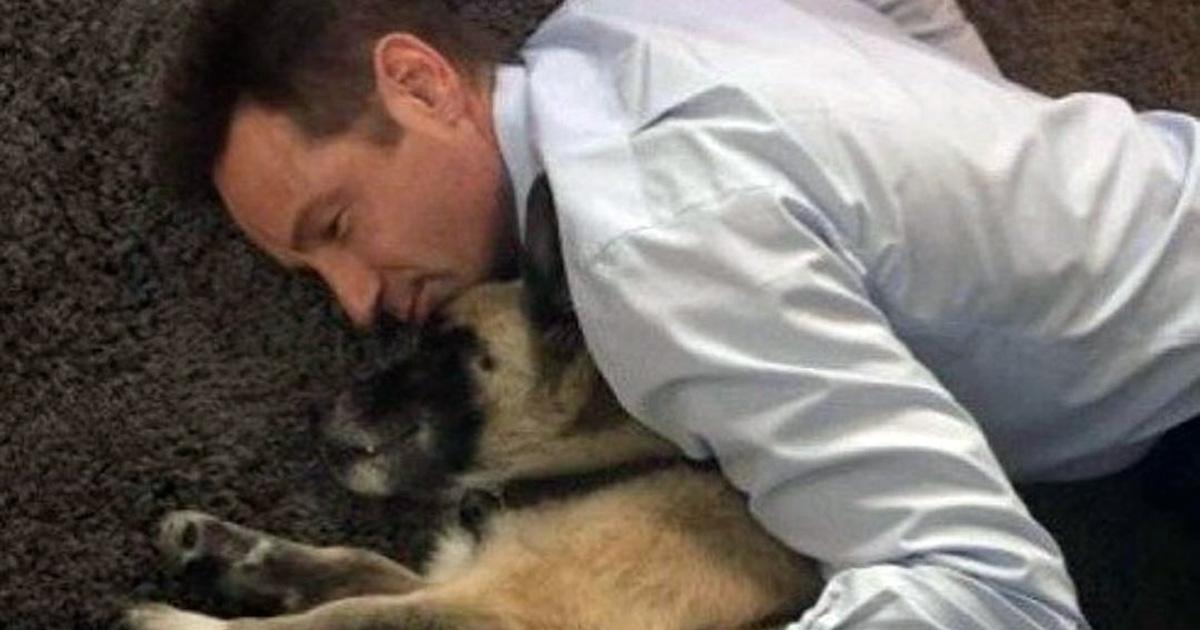 David Duchovny announces death of beloved rescue dog Brick: shares beautiful poem as tribute