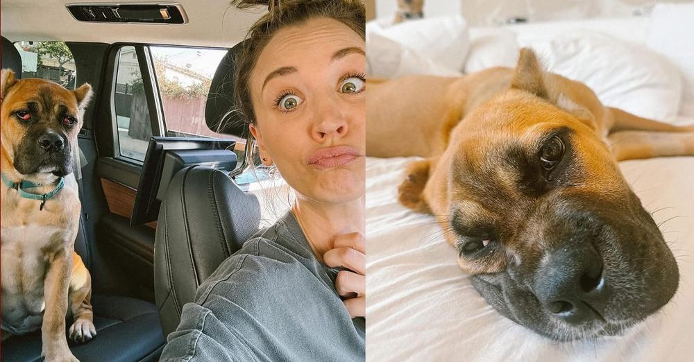Kaley Cuoco announces she has adopted new rescue dog named Dahlia: “We hit the jackpot”