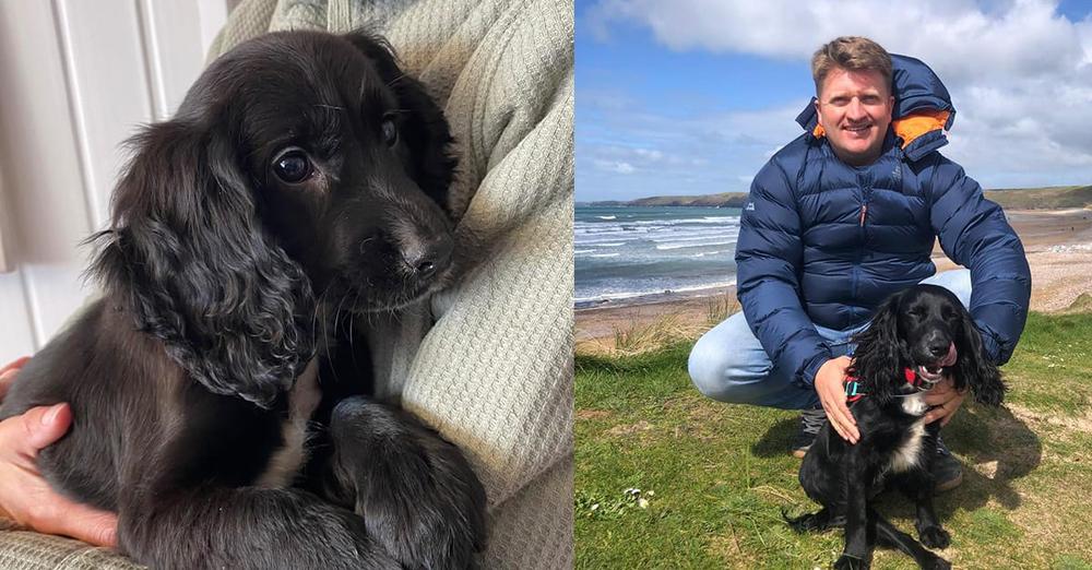 Ariel, abandoned dog born with six legs, has finally been adopted — congrats