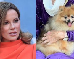 Kate Beckinsale suffers Fourth of July scare after pet dog ran away from fireworks