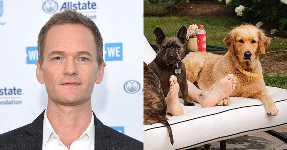 Neil Patrick Harris writes tribute to late dog Ella after tragic accident: “massive loss”