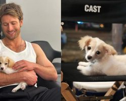 Glen Powell shares adorable photos of new rescue dog Brisket on film set: “The Lassie of his generation”