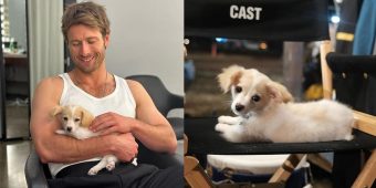 Glen Powell shares adorable photos of new rescue dog Brisket on film set: “The Lassie of his generation”