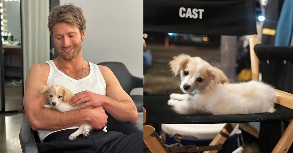 Glen Powell shares adorable photos of new rescue dog Brisket on film set: “The Lassie of his generation”