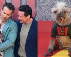 Peggy was named “Britain’s ugliest dog” — now she’s starring in movie with Ryan Reynolds and Hugh Jackman