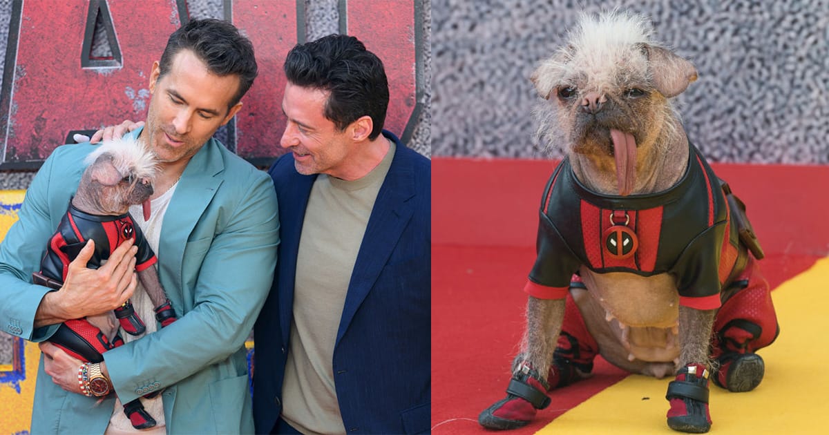 Peggy was named “Britain’s ugliest dog” — now she’s starring in movie with Ryan Reynolds and Hugh Jackman