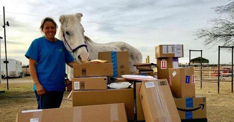 Old Horse Who Saved His Own Life By Hiding Between Donkeys Is Showered With Gifts
